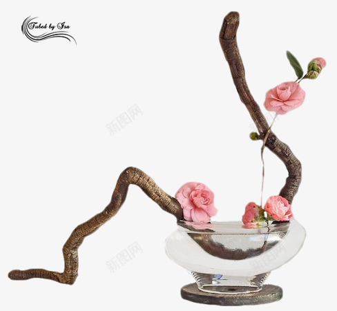 水盆中的花枝海报背景png免抠素材_88icon https://88icon.com 水盆 海报 背景 花枝