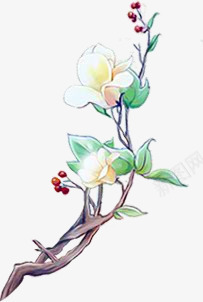白色花卉花枝中国风手绘png免抠素材_88icon https://88icon.com 国风 白色 花卉 花枝