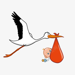 婴儿鸟鹤叼着的婴儿素材