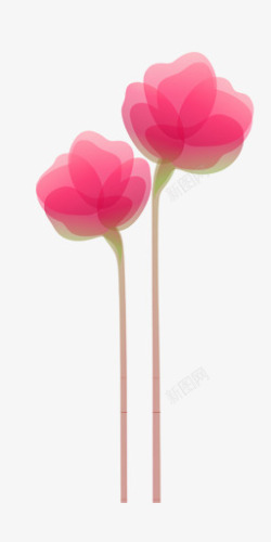 粉色花花束花枝素材
