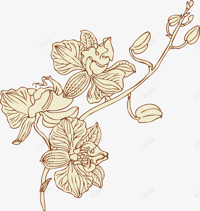 卡通手绘花枝矢量图ai免抠素材_88icon https://88icon.com 卡通 手绘 花枝 矢量图