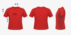 红色T恤测量图素材