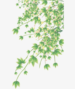 绿色清新春季花枝素材