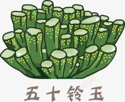 原创多肉植物写实矢量图素材