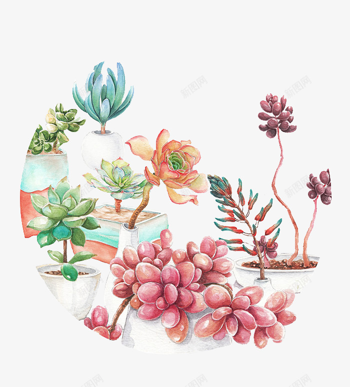 绿色多肉植物png免抠素材_88icon https://88icon.com 多肉 多肉植物 彩铅 手绘 植物 水彩 盆栽 绿色多肉 肉肉 花朵