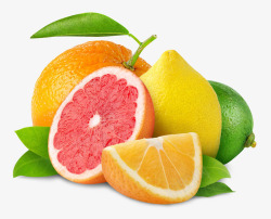 血橙柠檬剖面水果素材