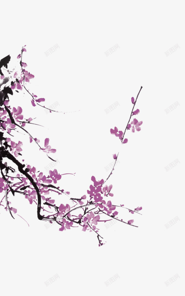 紫色清新花枝装饰图案png免抠素材_88icon https://88icon.com 免抠PNG 清新 紫色 花枝 装饰图案