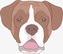 拳师犬矢量图素材