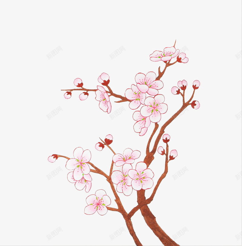 手绘梅花png免抠素材_88icon https://88icon.com 手绘梅花 树枝 梅花 花卉 花枝 黄梅 黄色腊梅