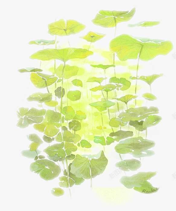 手绘荷花丛png免抠素材_88icon https://88icon.com 夏日绿色 水彩手绘 荷花丛