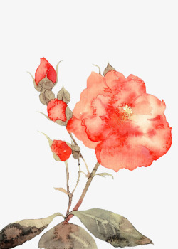 彩绘红色花朵花枝图素材