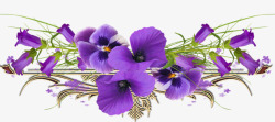 紫色花朵花枝素材