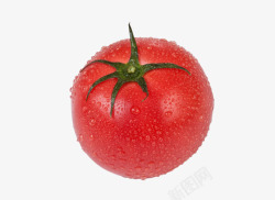 清凉夏日番茄西红柿素材