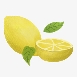 柠檬手绘图素材