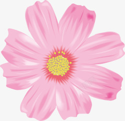 一朵盛开的粉色花朵图素材