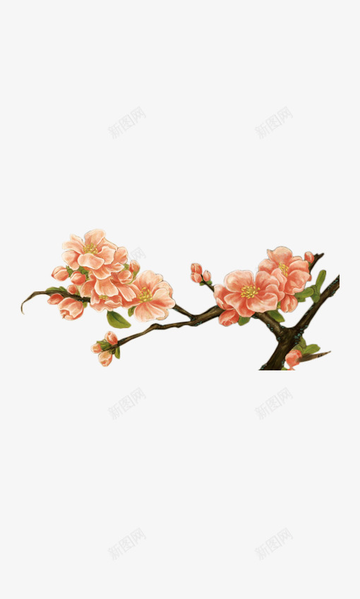 彩绘红色花朵花枝装饰png免抠素材_88icon https://88icon.com 彩绘 红色 花朵 花枝 装饰