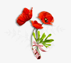 红色花朵花枝一朵花素材