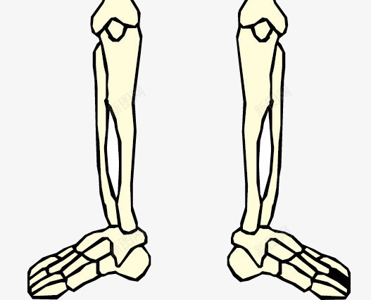 人体骷髅矢量图ai免抠素材_88icon https://88icon.com 医院 效果 框架 解刨 矢量图