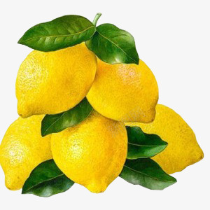 一串柠檬装饰png免抠素材_88icon https://88icon.com 一串 柠檬 装饰