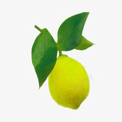 一个柠檬和叶子素材