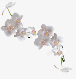 白色花朵花枝发光装饰素材