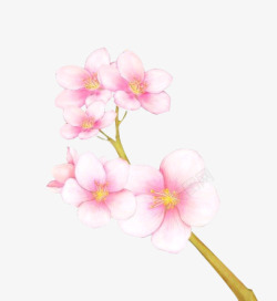 粉色渐变花朵花枝素材
