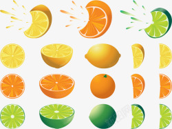 柑橘类水果合集矢量图素材