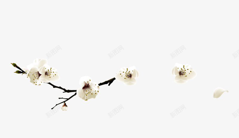 白色中国风花枝装饰图案png免抠素材_88icon https://88icon.com 中国风 免抠PNG 白色 花枝 装饰图案