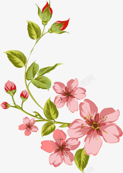 粉色花枝植物素材