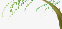 小清新夏日植物柳树装饰边框素材