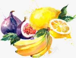 香蕉橙子柠檬水果矢量图素材