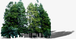 现代城市树林绿化素材