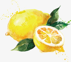水果水彩柠檬素材