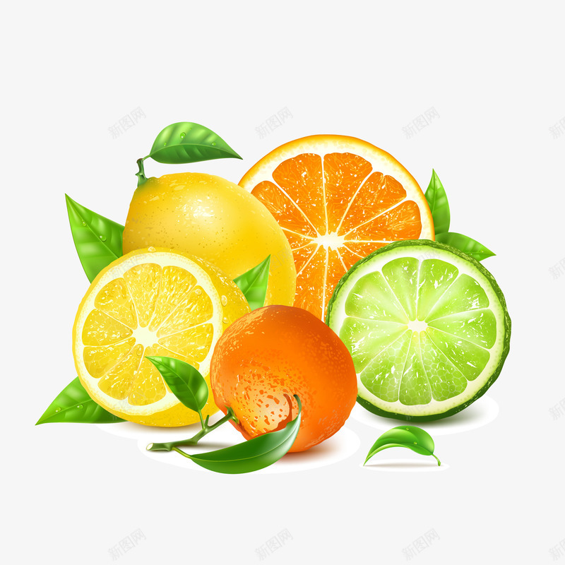 新鲜橙子和柠檬矢量图ai免抠素材_88icon https://88icon.com 切开 新鲜 柠檬 植物 橙子 水果 食物 矢量图
