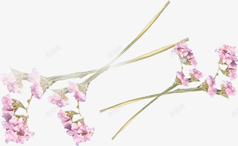 紫色花枝png免抠素材_88icon https://88icon.com 枝条 植物 紫色 花朵 花瓣