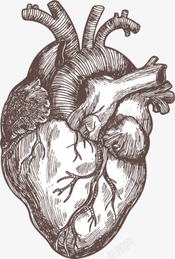 手绘黑色人体器官心脏素材