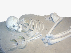 墓地里的骨头素材