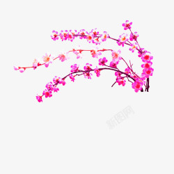 粉色桃花枝装饰图案素材