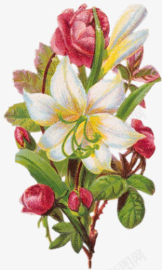 唯美手绘花素描唯美花束花枝图标图标
