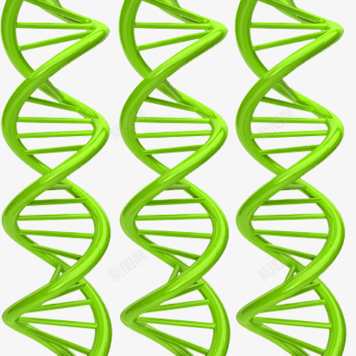 三螺旋基因png免抠素材_88icon https://88icon.com 基因链 现代科技 绿色 螺旋