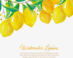 手绘柠檬装饰素材