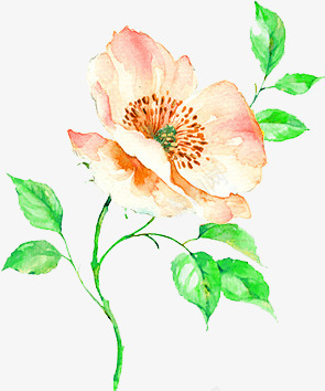 一朵花png免抠素材_88icon https://88icon.com 一朵花 手绘 水彩 花枝