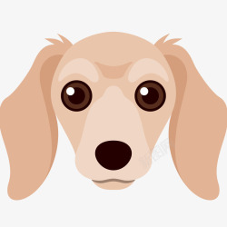 长耳朵小狗T恤一只可爱的小狗头像高清图片