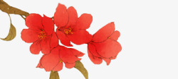彩绘一支红色花朵花枝素材