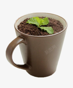 创意盆栽奶茶实物图素材