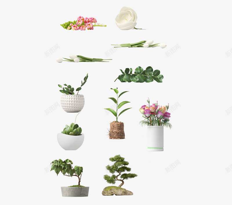 植物盆栽合集png免抠素材_88icon https://88icon.com 合集 多肉植物 植物 百合 盆栽 鲜花