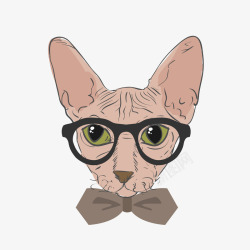 卡通戴眼镜的猫矢量图素材