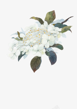 彩绘白色花朵花枝装饰素材