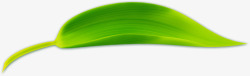 绿色粽子叶芦苇叶子素材
