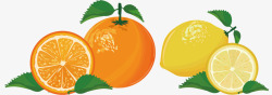橙子柠檬矢量图素材
